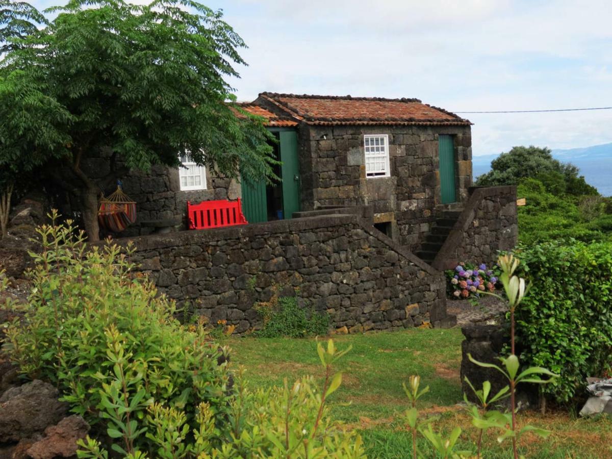 הוילה Terra Alta Casa Adega Alto Do Passinho מראה חיצוני תמונה